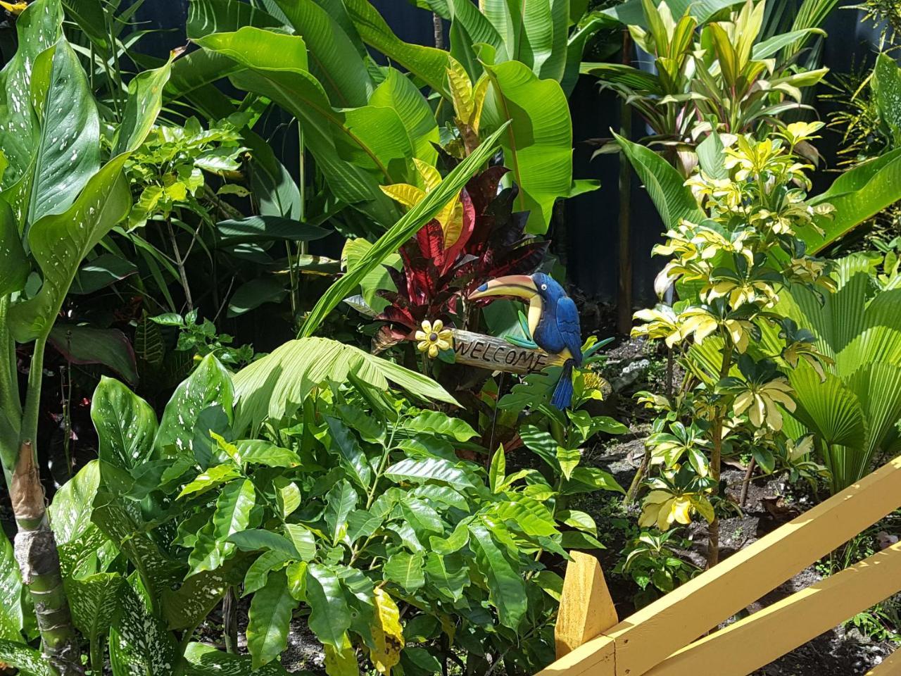La Fortuna Red Frog Hotel מראה חיצוני תמונה