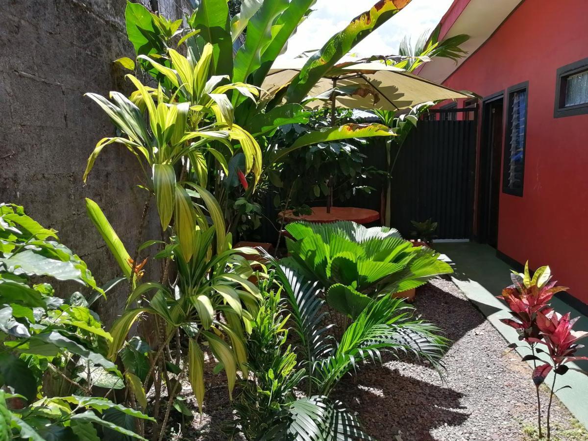 La Fortuna Red Frog Hotel מראה חיצוני תמונה