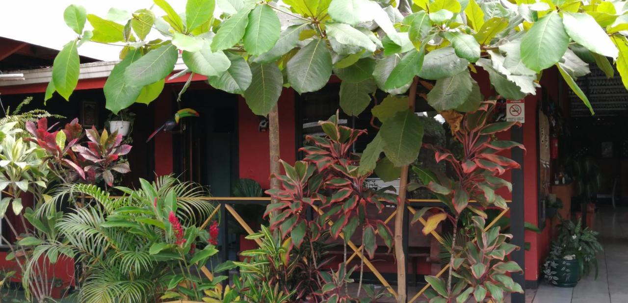 La Fortuna Red Frog Hotel מראה חיצוני תמונה