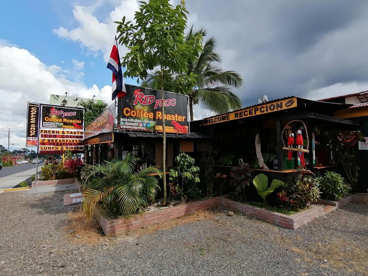 La Fortuna Red Frog Hotel מראה חיצוני תמונה